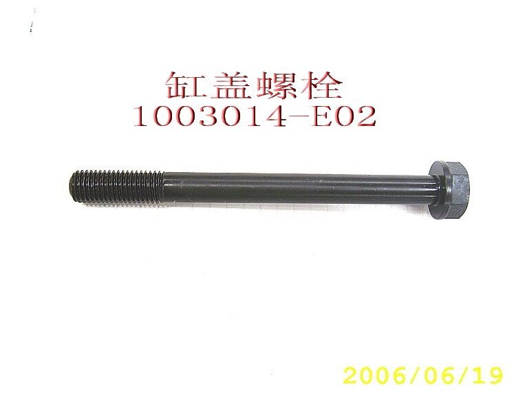 Болт головки блока внутренний 1003014-E02