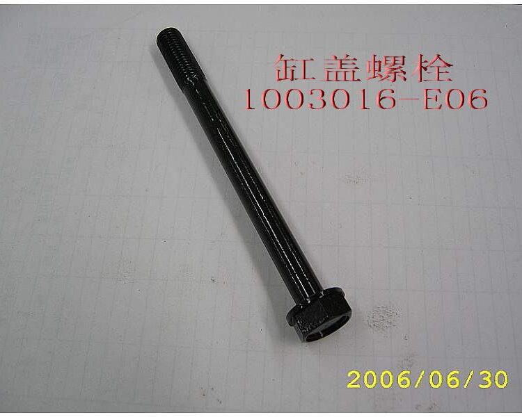 болт головки блока наружний 1003016-E06