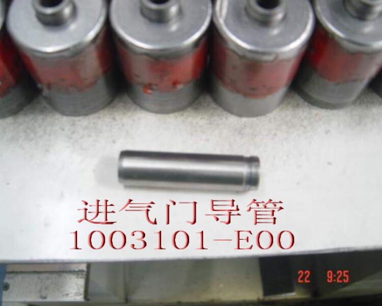 Направляющая впускного клапана 1003101-E00