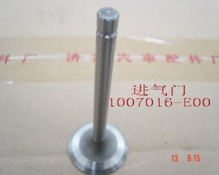 Клапан впускной 1007016-E00