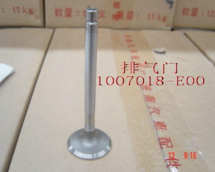 Клапан впускной 1007018-E00