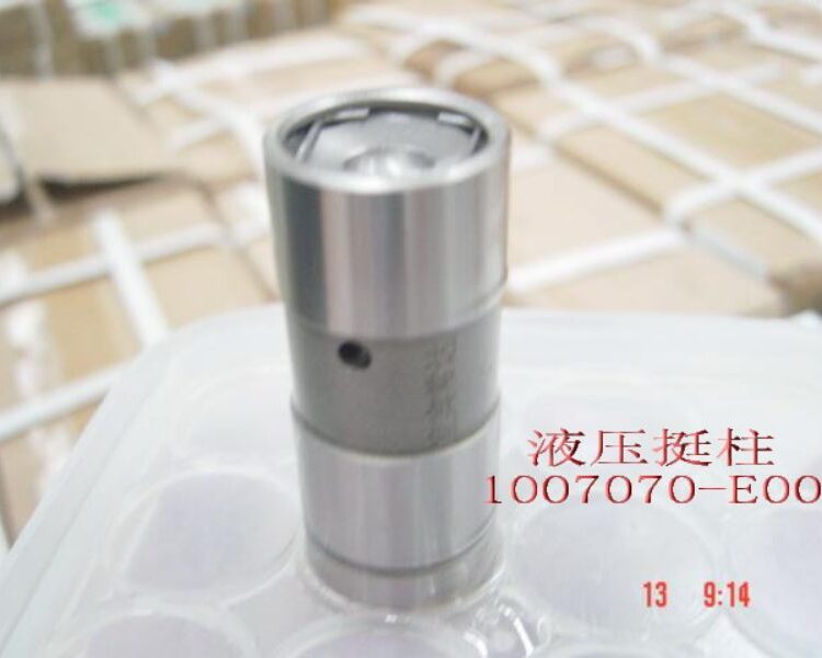 Гидрокомпенсатор 1007070-E00