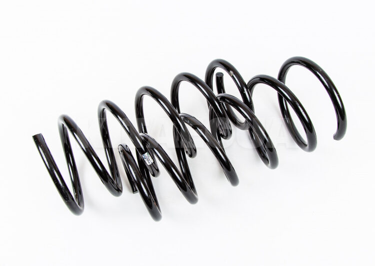 Пружина задняя 10026619